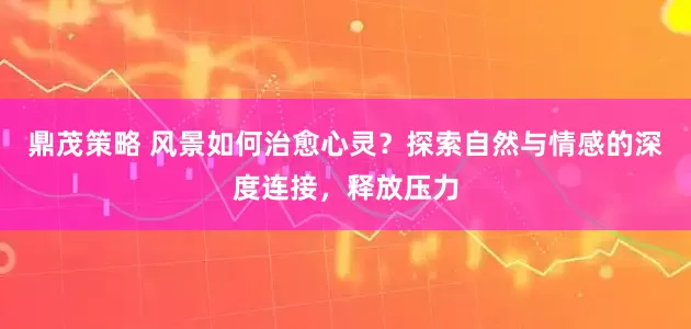 鼎茂策略 风景如何治愈心灵？探索自然与情感的深度连接，释放压力